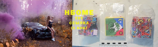шишки Богородск