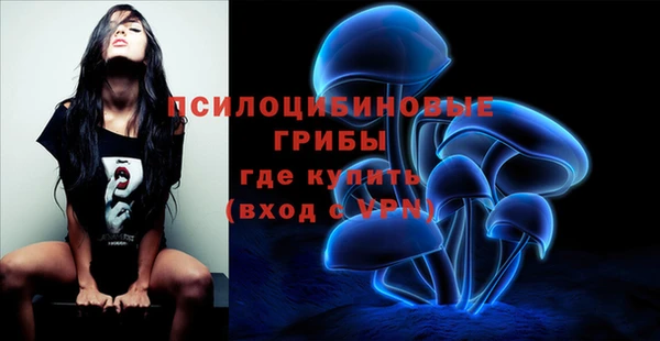 шишки Богородск
