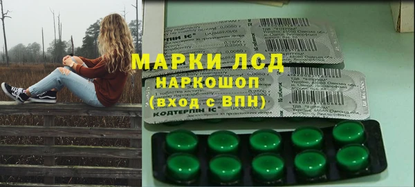 трава Бородино