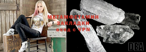 трава Бородино