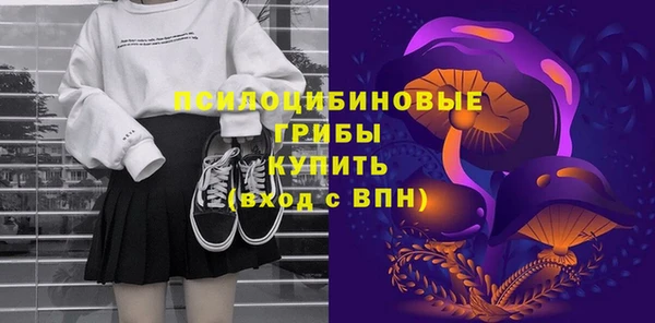 шишки Богородск