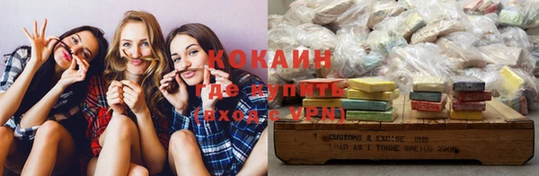 шишки Богородск